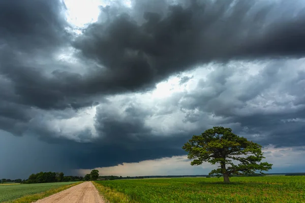 Nuages d'orage foncé sur le chêne — Photo