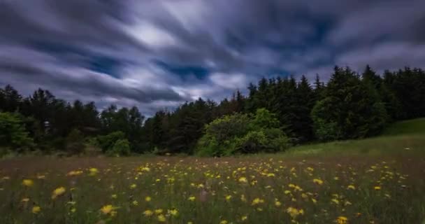 Timelapse video av snabbrörliga moln i det vilda fältet med blommor — Stockvideo