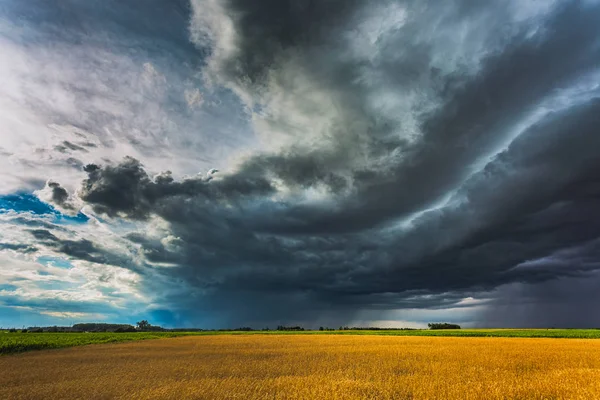 Nuvens de tempestade com nuvem de prateleira e chuva intensa — Fotografia de Stock