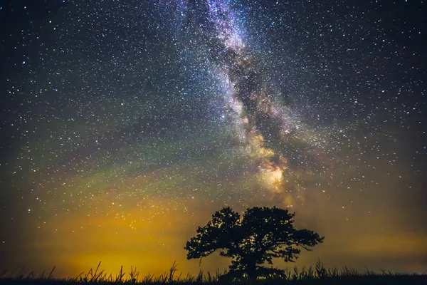 Landscape with Milky way galaxy over the oak tree — Stock Photo, Image