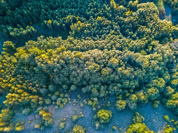 Sombras heladas en la madrugada de otoño —  Fotos de Stock