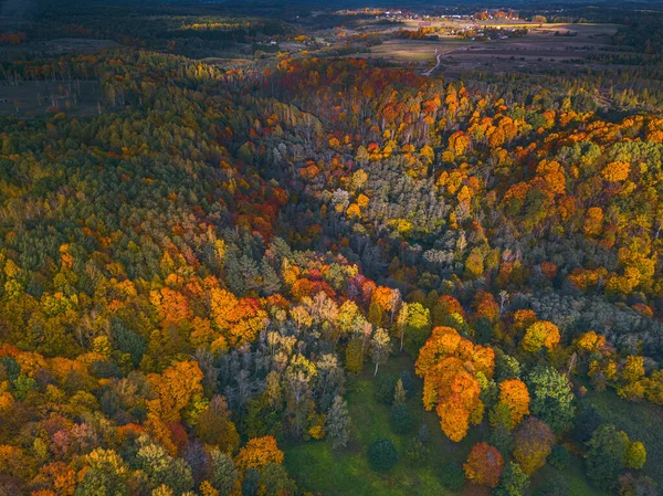 Aerial Drone view of colorful top of the forest at Autumn — Stock Photo, Image