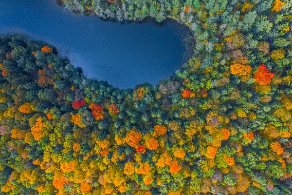 Vue Aérienne D'un Drone Du Haut Coloré De La Forêt Et D'un Lac à L'automne — Photo