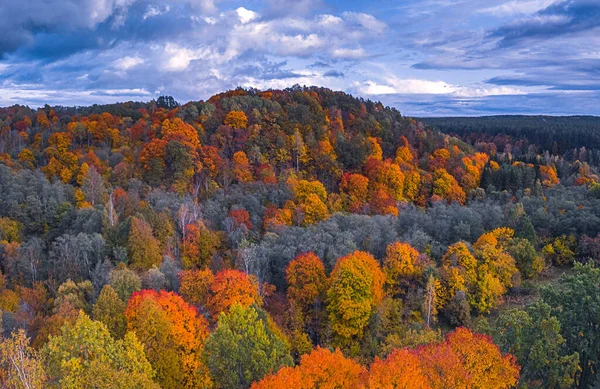 가을에는 다채 로운 숲 꼭대기가 보이는 공중 드론 사진 — 스톡 사진