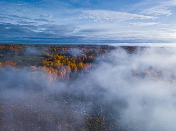 Flygfoto över drömmigt dimmigt höstlandskap — Stockfoto