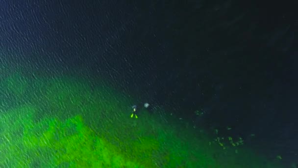 Bovenaanzicht op een helder koudgroen meer. Duikers in pakken zwemmen in helder, helder water, vanuit de lucht — Stockvideo