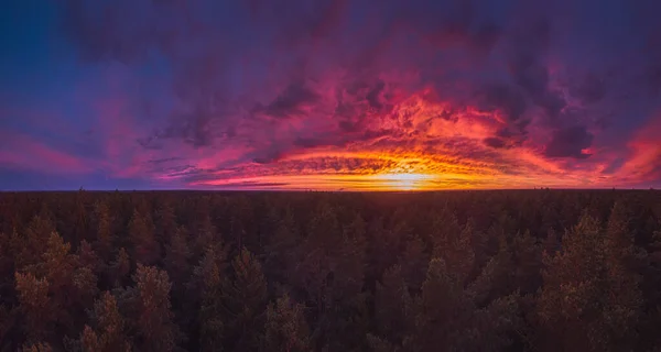 Красный закат над лесом, панорама сказочного пейзажа — стоковое фото