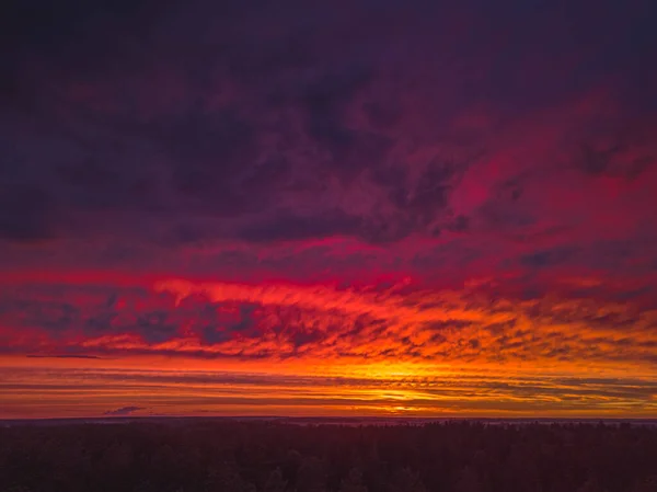 Puesta de sol roja sobre el bosque, panorama de paisaje de ensueño — Foto de Stock