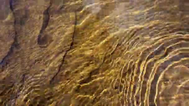Czysta rzeka. Fale piasku na dnie strumienia. — Wideo stockowe