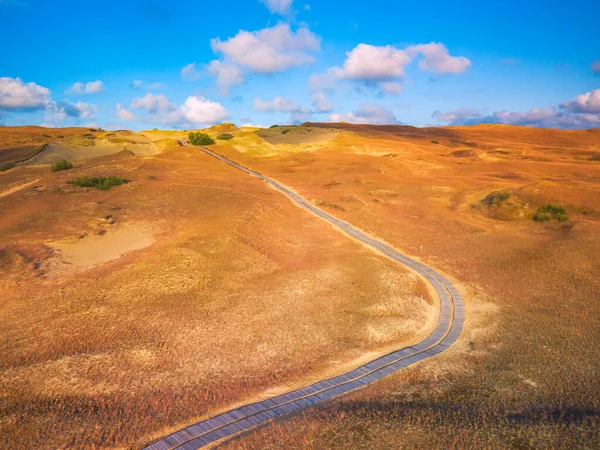 Piękne wydmy Grey Dunes, Martwe wydmy w Curonian Spit w Nidzie, Neringa, Litwa — Zdjęcie stockowe