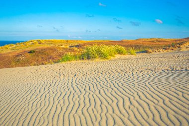 Grey Dunes 'da kum dokusu, Nida, Neringa, Litvanya' da Curonian Spit 'te Ölü Kumullar