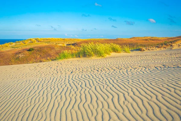 Пісок на Grey Dunes, Dead Dunes на Curonian Spit в Ніді, Нерінга, Литва — стокове фото
