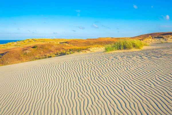 Пісок на Grey Dunes, Dead Dunes на Curonian Spit в Ніді, Нерінга, Литва — стокове фото