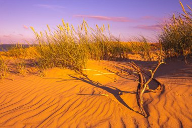 Çöl ve kum sıcak akşam güneşinde dalgalanır.