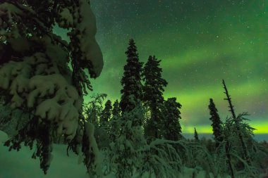 Finiş Laponya 'nın kuzey ışıkları, kış manzarası