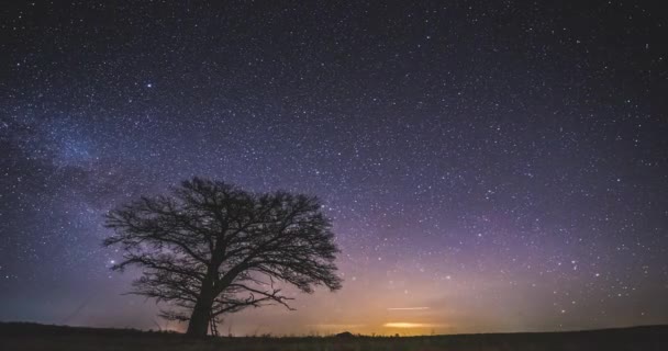 Ночное небо Время Лапс, Млечный путь, поднимающийся над дубом — стоковое видео