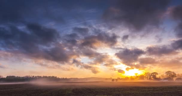 Niebla moviéndose a través de los campos en la luz de la noche — Vídeos de Stock