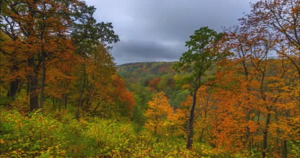 Timelapse του τοπίου φθινόπωρο με πολύχρωμα δέντρα — Αρχείο Βίντεο