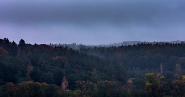 Na podzim se nad lesy valí mlha — Stock video