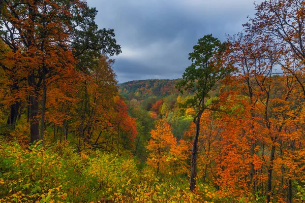 다채 로운 나무들로 뒤덮인 가을 풍경 — 스톡 사진