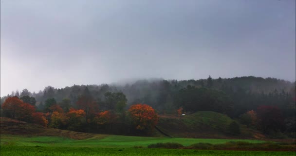 Nevoeiro movendo-se sobre as florestas no Outono — Vídeo de Stock