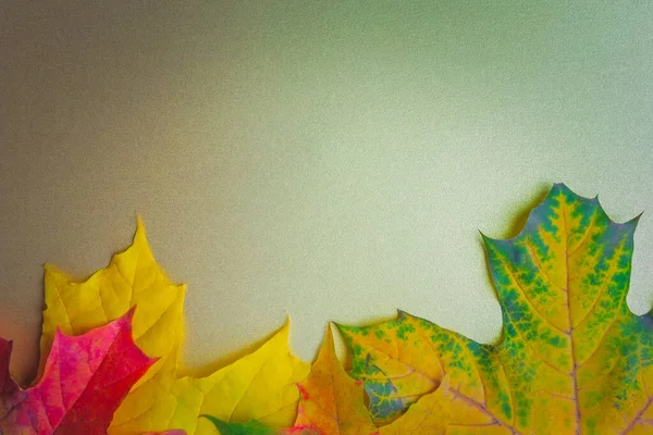 Τα φθινοπωρινά φύλλα σε χρυσό φόντο. Επίπεδο lay, πάνω όψη, αντιγραφή χώρου — Φωτογραφία Αρχείου