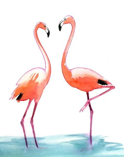 Pintura Aquarela Dois Pássaros Flamingo — Fotografia de Stock