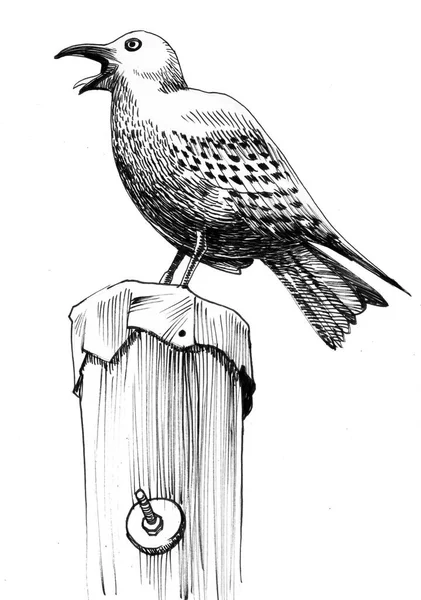 Seagull Sitting Wooden Post Ink Black White Illustration — Stock Photo, Image