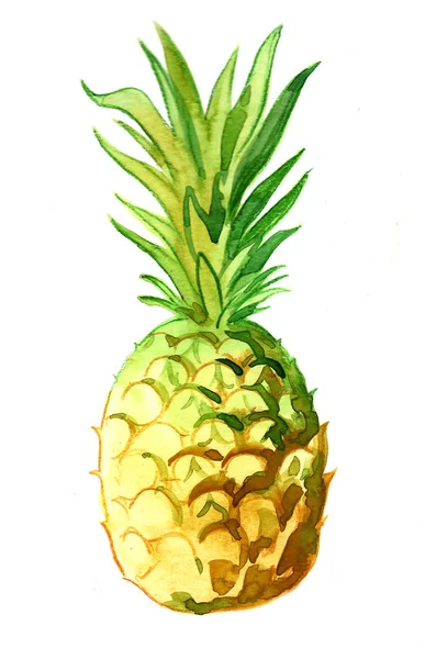 Aquarel Schilderij Van Een Ananas Fruit Een Witte Achtergrond — Stockfoto