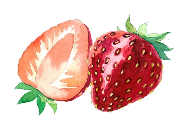 Paar Verse Zoete Sappige Aardbeien Aquarel Schilderij — Stockfoto