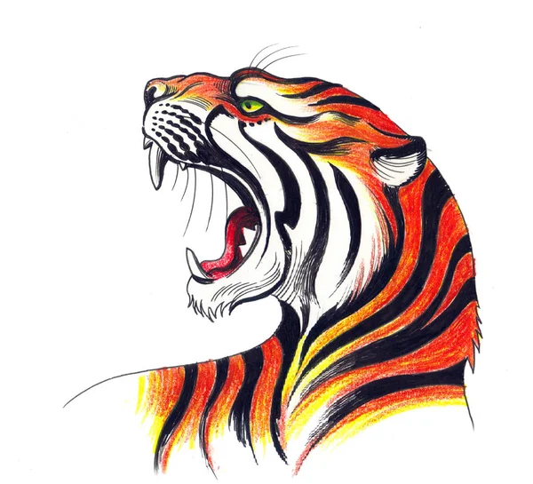 Tigre Furioso Rugindo Ilustração Lápis Tinta — Fotografia de Stock
