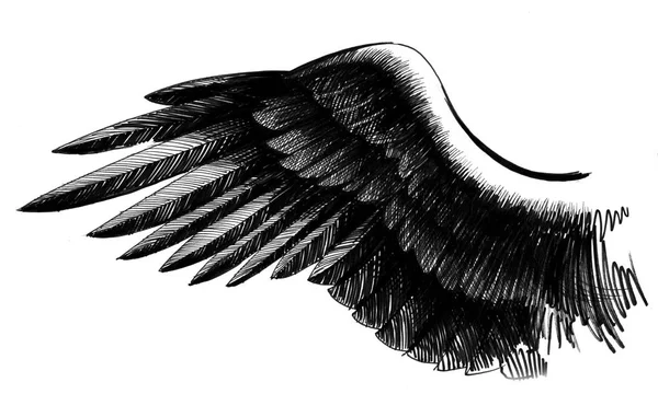 Bird Wing Ink Black White Illustration — Stock Photo, Image