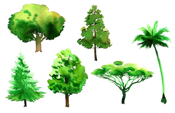 Watercolor Set Green Trees White Background — Stock Photo, Image