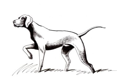 Mürekkep siyah ve beyaz bir oturma kedi çizim