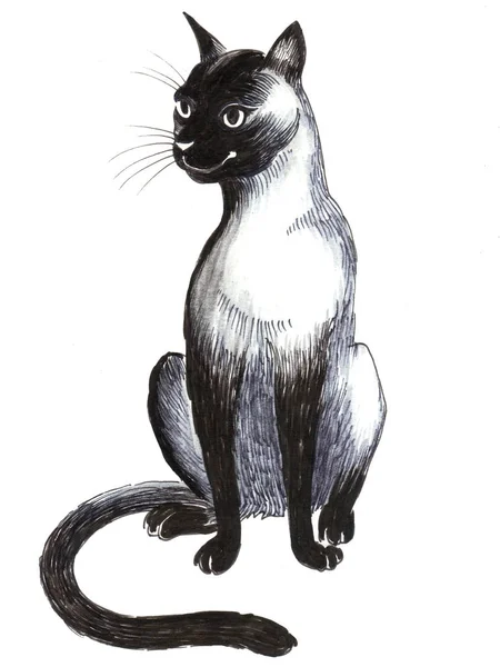 Mürekkep Siyah Beyaz Bir Oturma Kedi Çizim — Stok fotoğraf