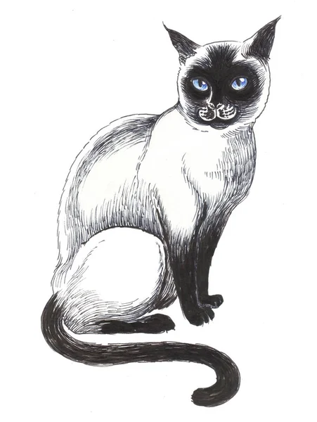 Gato Sentado Fundo Branco Ilustração Tinta — Fotografia de Stock