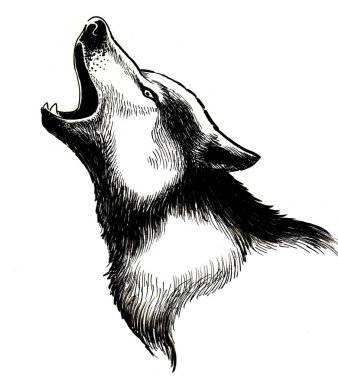 Howling wolf head. Ink black and white drawing clipart