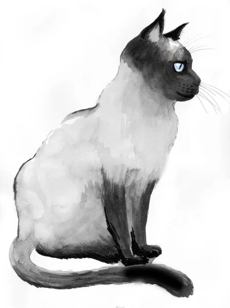 Gato Sentado Ilustración Tinta Acuarela —  Fotos de Stock