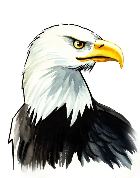 Beyaz Arka Plan Üzerinde American Eagle Kafa Mürekkep Suluboya Kroki — Stok fotoğraf