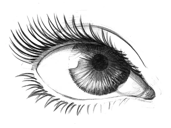 Olho Feminino Com Cílios Longos Desenho Lápis — Fotografia de Stock