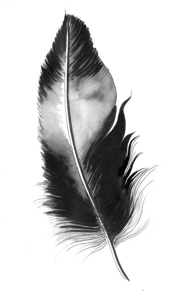 Ink Black White Feather White Background — Stock Photo, Image