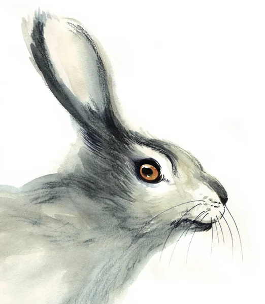 白い背景のウサギ頭 インクと水彩イラスト — ストック写真