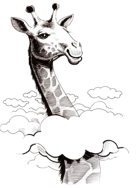 Жираф Небі Чорно Білий Малюнок — стокове фото