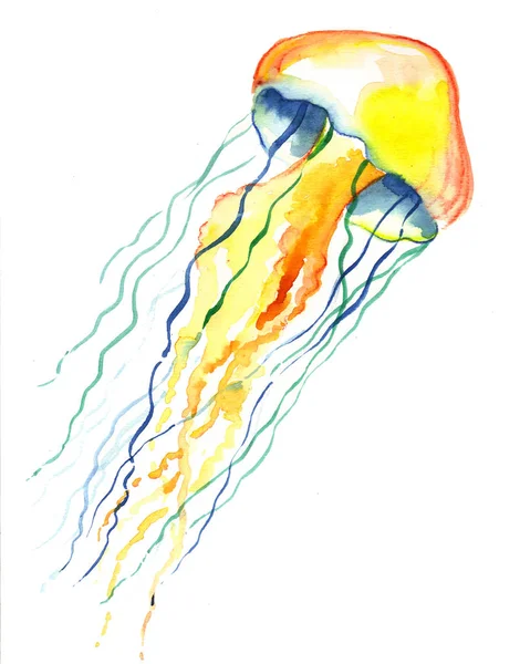 Тропічні Отруйні Медузи Білому Тлі Акварельний Живопис — стокове фото