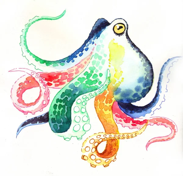 Regenboog Gekleurde Octopus Witte Achtergrond Inkt Aquarel Illustratie — Stockfoto