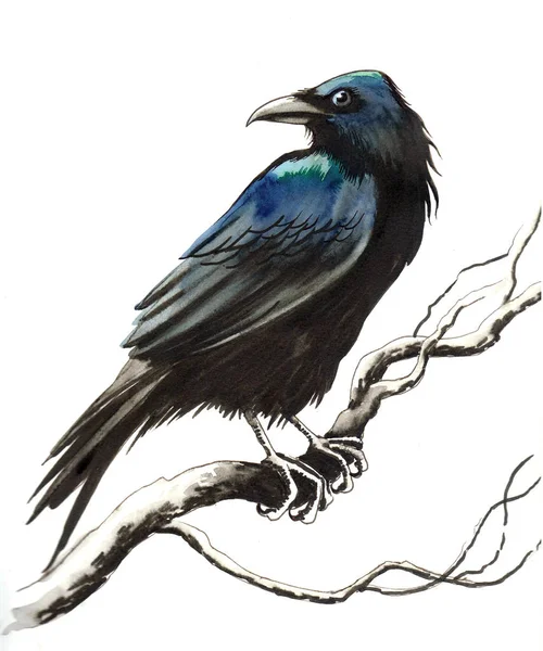 Black Raven Sitting Tree Branch Ink Watercolor Illustration — Stock Photo, Image