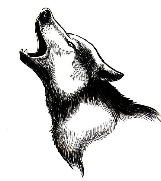 Heulender Wolfskopf Tusche Schwarz Weiß Zeichnung — Stockfoto