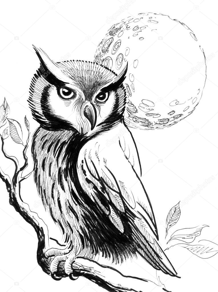 Owl and the moon. Ink black and white illustration