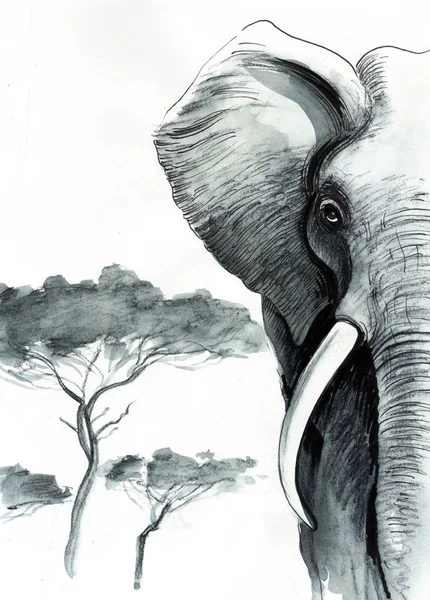 Afrikaanse Olifant Savanne Inkt Aquarel Illustratie — Stockfoto