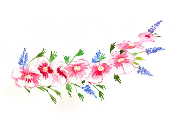 Гарні Квіти Білому Тлі Ескіз Акварелі — стокове фото